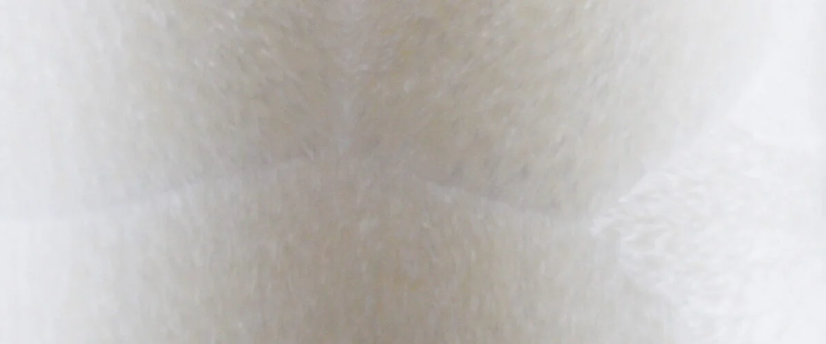 B A tekstura scaled e1708430536708